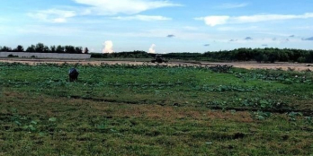 8300m2 trung tâm Lagi,Bình thuận