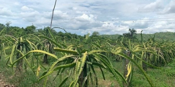 Cơ Hội Rất tốt để đầu tư đất Phan Thiết