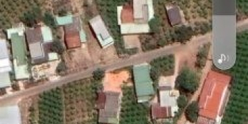 Diện tích 260m2 có 140m2 CLN + 120 ONT Hàm Mỹ- Hàm Thuận Nam bán rẻ trước tết