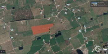 Bán 9177m2 đất xã Hàm Minh huyện Hàm Thuận Nam có sẵn 1200 trụ Thanh Long