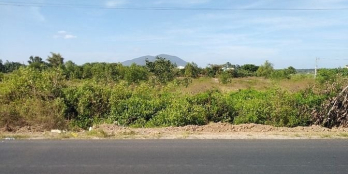 Bán 7 sào MT đường 719 thôn Thanh Phong xã Tân Thuận