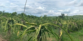 Cơ Hội Rất tốt để đầu tư đất Phan Thiết - Bình Thuận