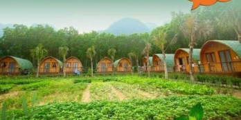 đất vườn liền kề Novaworld chỉ từ 2 triệu/ m2