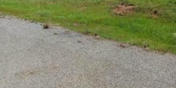 Đất thổ cư xã Mương Mán huyện Hàm Thuận Nam