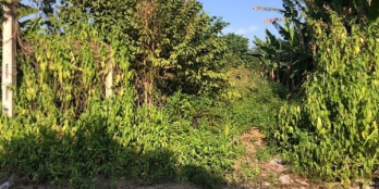 Bán đất 49 nguyễn lương bằng trường đông hòa thành tây ninh