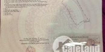 Bán lô đất thôn Phú Hạ - Hoà Sơn - Hoà Vang