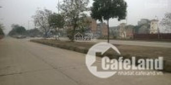 Gia đình cần bán 50m2 đất dịch vụ thôn Vân Lũng, xã An Khánh, Hoài Đức, Hà Nội