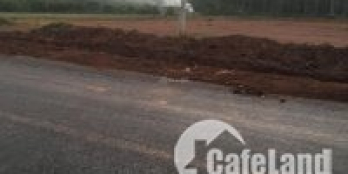 Mình chỉ còn 10 nền đất giá F0 cho nhà đầu tư mặt tiền đường nhựa dân đông