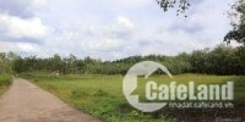 Đầu tư đất nền vùng ven 550tr vốn ít sinh lời cao.Hớn Quản, Bình Phước