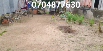 CẦN BÁN GẤP NỀN XÃ PHONG MỸ - HCL