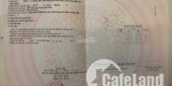 Đất Bình Lợi Bình Chánh SHR 1357m2 19x73m bao xây kiểu biệt thự