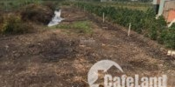 bán đất Đường kinh trải đá mi 8m 2 ô tô tránh nhau xã bình lợi-bình chánh