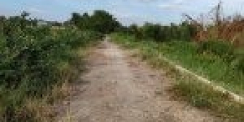 bán đất tổng diện tích 2.200m2 vuông vức thích hợp làm nhà vườn bao đẹp