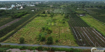 Bán đất 11700m2 đất vuông vức- mặt tiền kênh Vườn Thơm Bình Lợi giá cực đầu tư