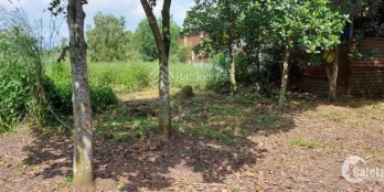 cần bán đất vườn chính chủ 2 MT kênh 1200m2, miếng đất hình chữ L, giá 1tỷ750