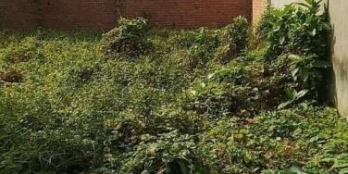 bán đất nền hưng long chính chủ- Sổ hồng riêng chính chủ - Hướng Tây Nam.