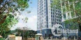 bán đất trống – xã phong phú đường nguyễn văn linh- 140m2 giá đẹp cho đầu tư