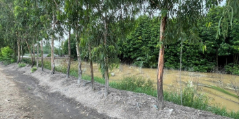 Cần bán Lô đất 4579m quy hoạch đất ở full Xã Bình Khánh.