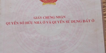 Chính chủ cần bán nhà đất ở 57/7 T, Nguyễn Thị Hue, Xã Bà Điểm-hóc môn