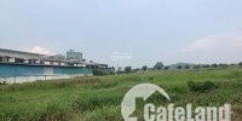 bán đất Sổ riêng, đất sản xuất kinh doanh-dt  83m x 67m bà điểm hóc môn