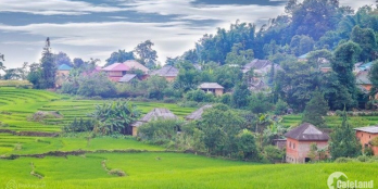 Cần bán gấp siêu phẩm đất 1,32 ha tại Chiềng Khoa Vân Hồ