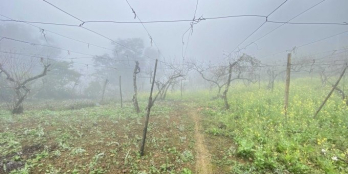 Siêu phẩm đất nghỉ dưỡng bậc nhất mộc châu sơn la DT 7000m2 giá nhỉnh 4tỷ