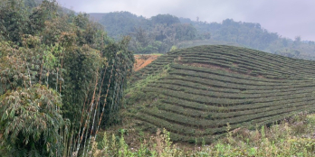 Bán lô đất 1,3ha, Chiềng Khoa, Vân Hồ, ngay gần nút giao cao tốc số 6 Vân Hồ.