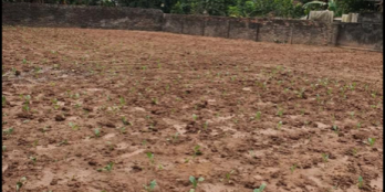 Cần bán lô đất Diện tích: 419,6m mặt tiền : 16,09m