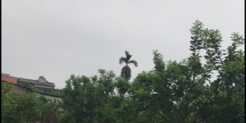 Mảnh đất tiện ích vây quAnh đất mới giá rẻ