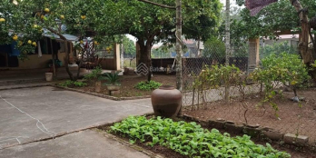 Mảnh đất thổ cư 250m2 mặt tiền 8m Hướng Đông Nam