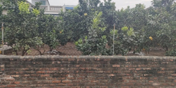 Lô đất có Diện tích: 400m2, đường thông trục chính giữa 2 tuyến đường 377 và 382