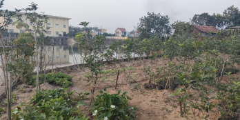 Diện tích: 300, 400, 500m2 ngay mặt đường đường 377, Cầu Cống Vực.