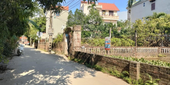 Diện tích: 1800m2_Thông thoáng đất vượng phì nhiêu, cây cối xanh tốt