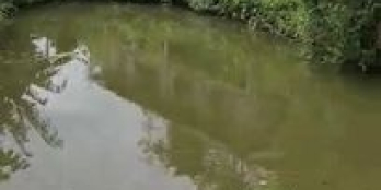 Chính chủ gửi bán mảnh đất 480m2 thổ cư 400m2 tiềm năng lớn