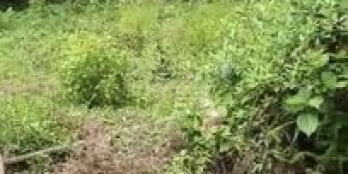 Lô đất nằm tại khu vực đông dân cư thoáng mát