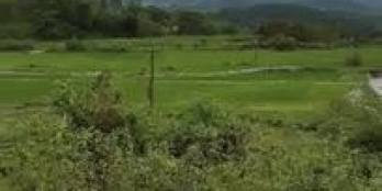 Với diện tích 402m2 thổ cư, mặt tiền 16m, vuông vắn cực đẹp, view cánh đồng