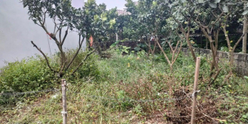 Lô đất ngay chợ đầu mối thuận tiện lợi ích