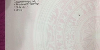 Lô đất đầy tiện ích xung quanh rất thuận tiện