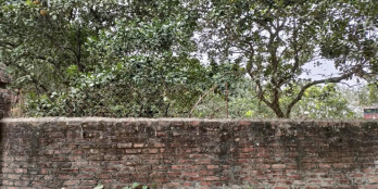 Lô đất chính chủ cần bán thoáng mái sông đồng quê