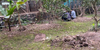 Cần bán lô đất chính chủ với diện tích 195m2 chỉ có giá 1ty8