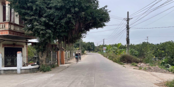 Với 54,5m đất thôn Đông Kim, Xã Đông Tảo mt 4,6m = hậu 15,5tr/m2