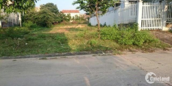 cần bán gấp đất đấu giá TÂN DÂN