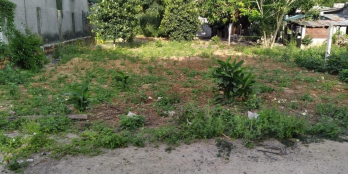 Chính chủ cần bán lô đất với diện tích 516m2 chỉ có giá 12ty6