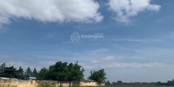 Góc cần mua bán Mua đất liền tay có ngay sổ đỏ sinh lời sau khi mua.