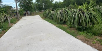 HÀNG NGỘP SAU DỊCH CẦN BÁN GẤP TRONG TUẦN ĐẤT 6337M2 TÂN TIẾN LAGI BÌNH THUẬN