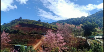 Lô đất có Đường xe bán tải,view hồ suối vàng,view rừng núi