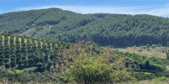 Bán đất bao đẹp giá 10000 có diện tích 10000m2