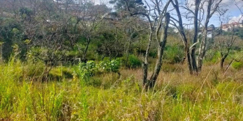 Bán lô đất có 100m thổ cư dân cư đông đúng