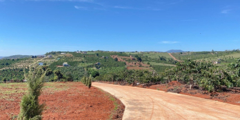 Cần bán nhanh lô đất có sổ hồng ruêng khu đông dân cư