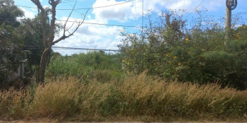 Lô đất mặt tiền đất vuông bằng phẳng đẹp